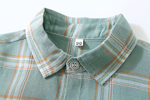 Baby Boys Dinosaur Animal Print Shirt Button Down Hawaiian Shirts Aloha Short Sleeve Party Holiday Dress Shirt3