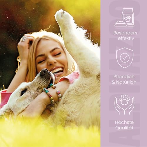 alphazoo Bye Bye Vloh Spray für Hunde 100 ml – mit Lavendel, Geraniol & Zitronen-Eukalyptus. Hilft gegen Flöhe, sanft zur Haut & ohne Alkohol. Natürlicher Schutz, pflegend & hautfreundlich.