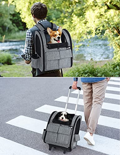 Pecute Pet Rolling Carrier, Pet Carrier Backpack Collapsible with Detachable Trolley, Multi-Function Pet Backpack with… - Image 3