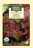 Seeds of Change S21072 Certified Organic Redina Red Leaf Lettuce