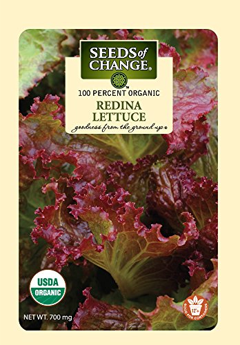 Seeds of Change S21072 Certified Organic Redina Red Leaf Lettuce
