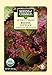 Seeds of Change Certified Organic Lettuce, Redina - 700 milligrams, 500 Seeds Pack