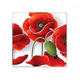 Caractéristiques : les carreaux ne sont pas adaptés pour les projets de sol, mais ils sont parfaits pour les murs, les comptoirs, les crédence arrière. etc. Les carreaux peuvent présenter de petites fissures sur la surface en raison de leur processus de fabrication artisanale.