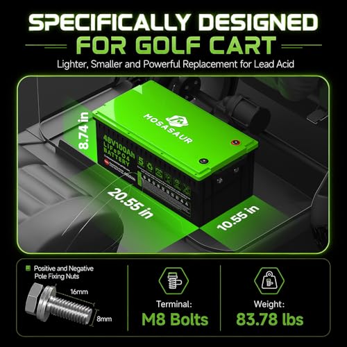 Image of 48V 100Ah LiFePO4 Golf Cart Battery, 10.24kW Peak Power & 4000+ Cycles, Built-in 200A BMS | with 48V 18A Lithium Battery Charger, LCD Screen & APP Monitoring | for Golf Carts, RV, Marine