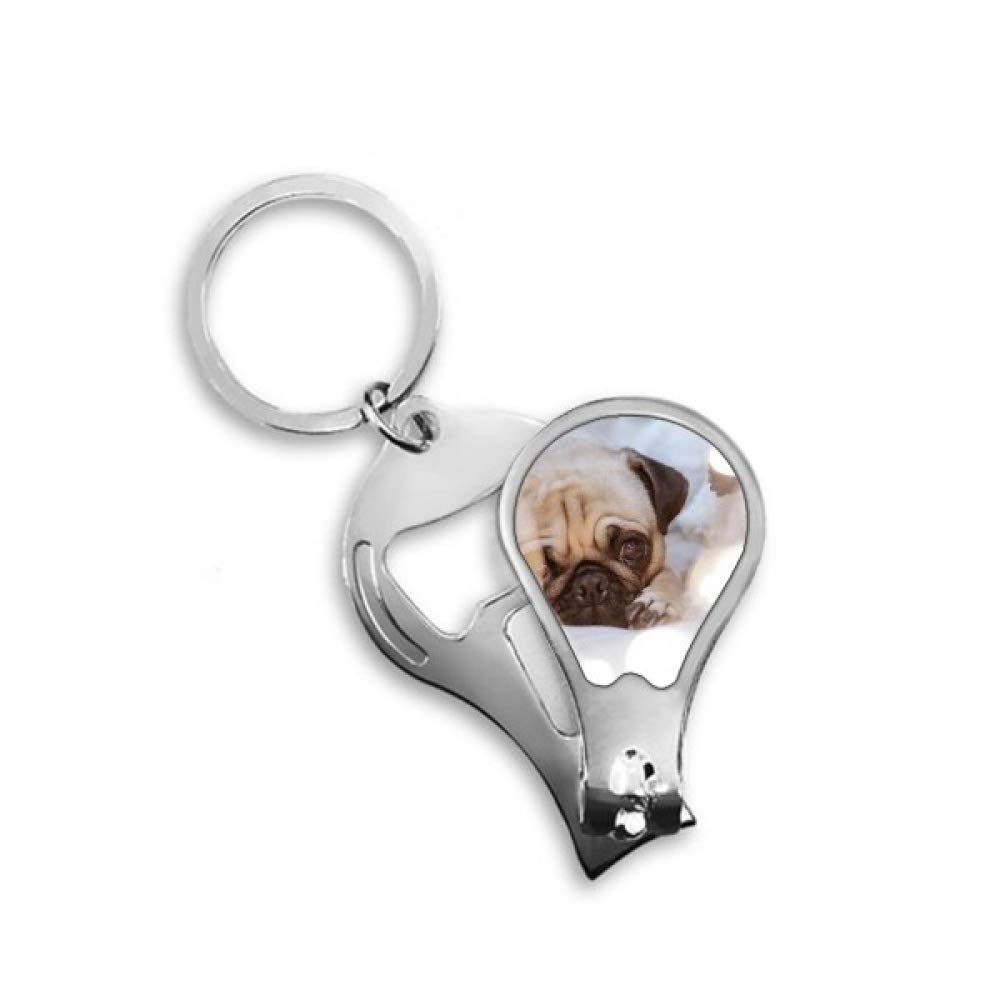 Clipper coupe-ongles DIYthinker en acier pour animaux - 4