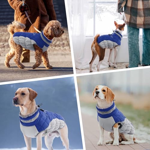 Hundepullover für Kleine Hunde, Hundejacke Wasserdicht Warmer Hundemantel Kleine Hunde Thermomantel Fleece Hunde Warme Winterjacke Rollkragen Winddicht Hunde Bekleidung für Winter Herbst(Blau, S)