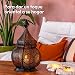 Gadgy ® Farol Arabe (36 cm) l para Velas y Luces eléctricas...