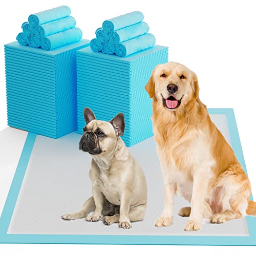 60 Count Dog Pee Pads Extra Large,32"X 36"Pet Training Pads,Disposable Pet Potty Pads Super Absorbent & Leak-Proof for House Training Cats,Rabbits,Dogs Leak-Proof Pet Pads