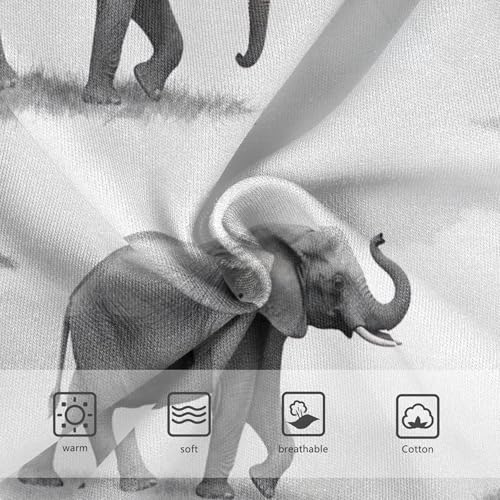 Cartoon Toddler Underwear Floral 2t Cotton Cute Panties Girl African Elephants Black White Underpants Briefs3