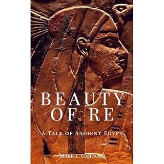 Beauty of Re Audiolibro Por Mark Gajewski arte de portada