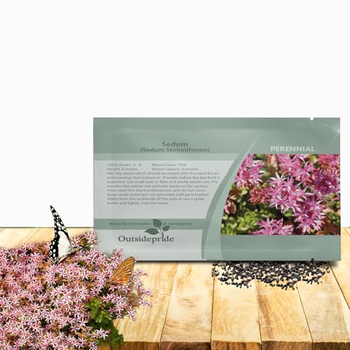 Outsidepride Stoloniferum Sedum Seeds - 2000 Pcs Perennial G...