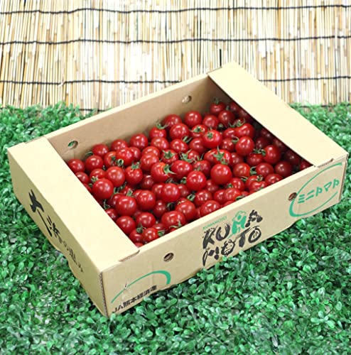 w Store Vegetables Fruits YYnI ~jg}g 1P[X 3kg KiiyMtgΉ ̓/̓ j  Εz