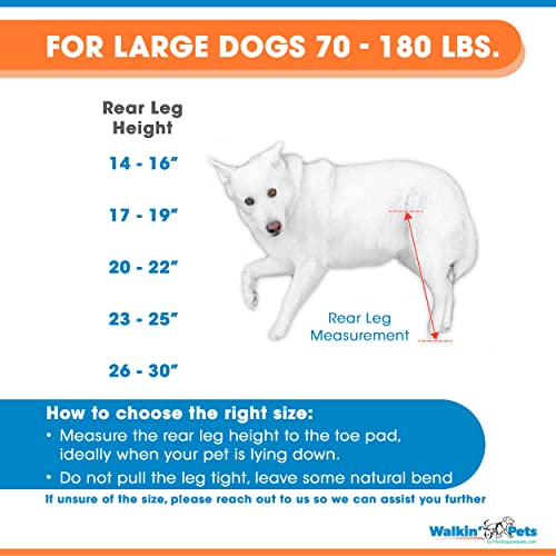 Dog Wheelchair - For Large Dogs 70-180 Pounds - Veterinarian Approved - Dog Wheelchair For Back Legs #TOP1