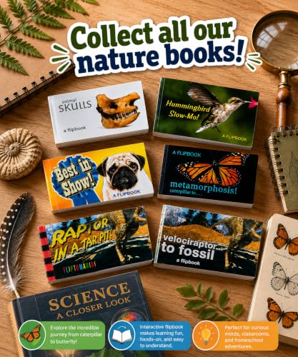 Image of Nature Flipbook 3-Pack for Kids 6-12, Animation Flip Books for Children | Butterfly, Frog & Hummingbird Story on Flip Book Paper, Educational STEM Flipbook Set for Boys & Girls, Animated Science