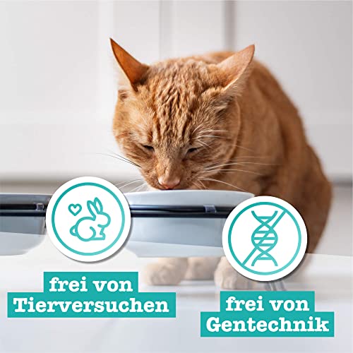 catz finefood N° 21 Wild & Rotbarsch Feinkost Katzenfutter nass, verfeinert mit Kartoffel & Heidelbeere, 6 x 800g Dosen