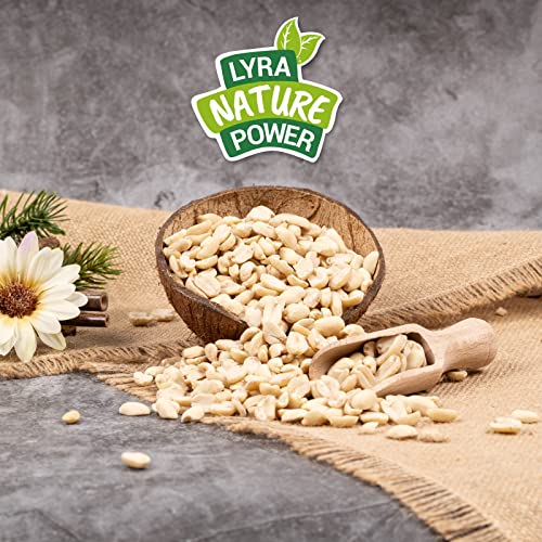 Lyra Pet® | 25 kg Erdnusskerne Splits | Wildvogelfutter Ganzjährig | Nährstoffreiches Streufutter | Energiespender für Alle Wildvögel | Erdnüsse ohne Schale | Vogelfutter für Sommer und Winter