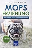 Mops Erziehung: Hundeerziehung für Deinen Mops Welpen
