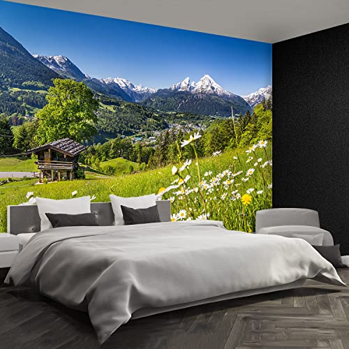 Papier Peint Mountains de Bavière Tulup Rénovation Murale Maison 416x254cm