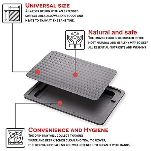 DINGZZ Vassoio di scongelamento degli alimenti con serbatoio dell'acqua Scongelamento Piatto di alimento Materiale di alluminio Bistecca domestica Esclusione Consiglio