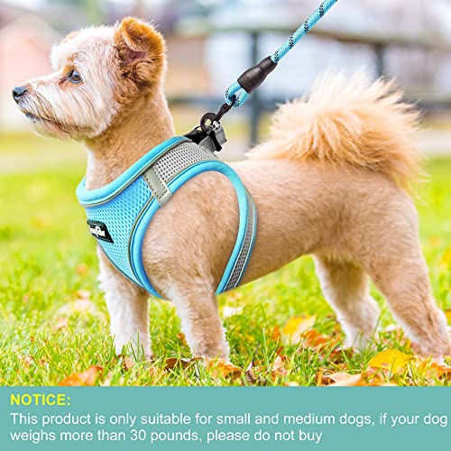 Haapaw Dog Harness With Leash Set, No Pull Adjustable Reflective Step-In Puppy Harness With Thickened Padded Vest For Extra-Small/Small Medium Dogs #TOP3