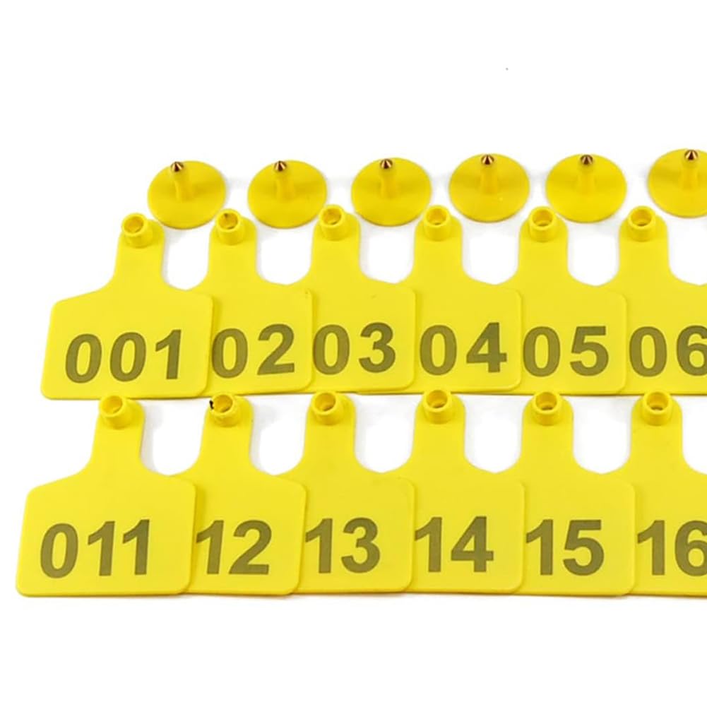 Kolczyki(Yellow,901-1000)