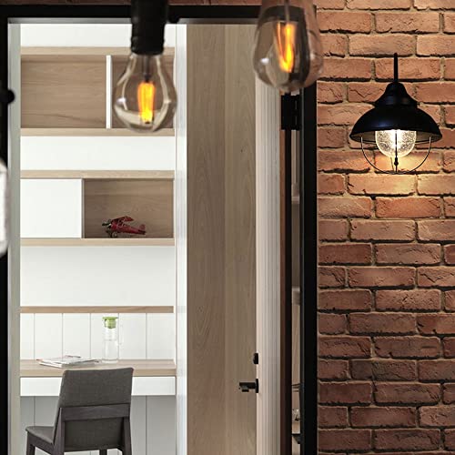 Applique cage fer style industriel rétro avec diffuseur verre transparent