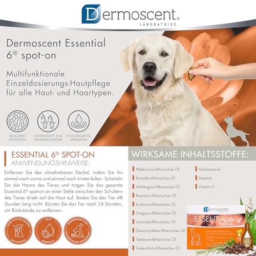 Innovative Hautpflegelösung für Hunde und kleine Haustiere | Feuchtigkeitsspendend, glänzend, kontrolliert Haarausfall, reduziert Gerüche und schützt mit natürlichen Inhaltsstoffen | 20-40 kg