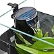 SENZEAL Schildkröte Niedriger Wasserstand Wasserfallfilter Pumpe Aquarium Interner Filter 5W 220V/50Hz 400L/H Niedriger Wasserstand reinigen für Aquarium Reptilien Amphibie - Schwarz