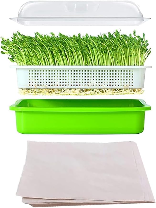 TOMVAES Seed Sprouter Tray, 33 * 26 * 12cm Sprouting Kit With 100 Pcs Planting Papers, 2 Pcs Lid for Garden Home, Wheatgrass Soybean, 29 * 22cm Seedling Paper