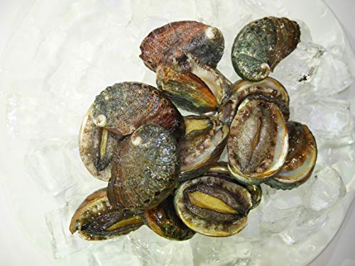 Kona Abalone Fresh Ezo Abalone bite size 14/24pc (0.5lb)