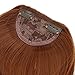 REECHO Fashion Full Length Synthetic 1 Piece Layered Clip in Hair Bangs Fringe Hairpieces Hair Extensions Color - Linen