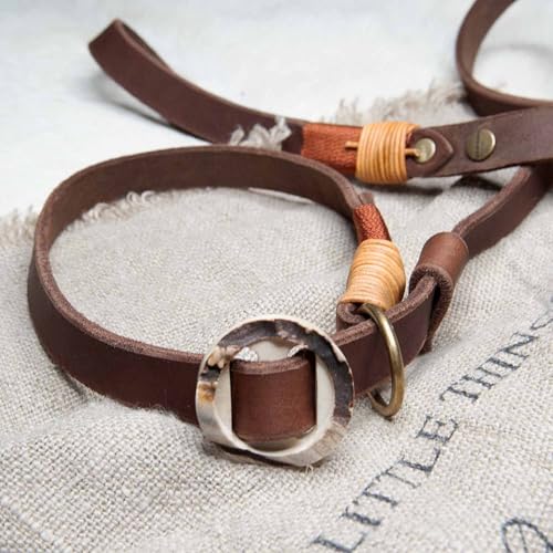 Retrieverleine Leder 20 mm in Braun | Burnt Amber | Moxon-Leine mit außergewöhnlichem Horn-Zugstopp | robuste und edle Hundeleine aus hochwertigem Fettleder mit integrierter Halsung - 230 cm