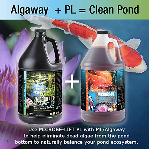 Microbe-Lift Algagal Algaway 5.4 Algae Control Treatment For Ponds And Water Gardens, Safe For Koi Fish, Goldfish, Plants, And Decorations, 1 Gallon #TOP4