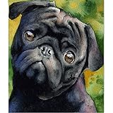 DIY 5D Diamond Painting Kit, Full Round Drill Round Rhinestone Embroidery Pictures Arts for Home...