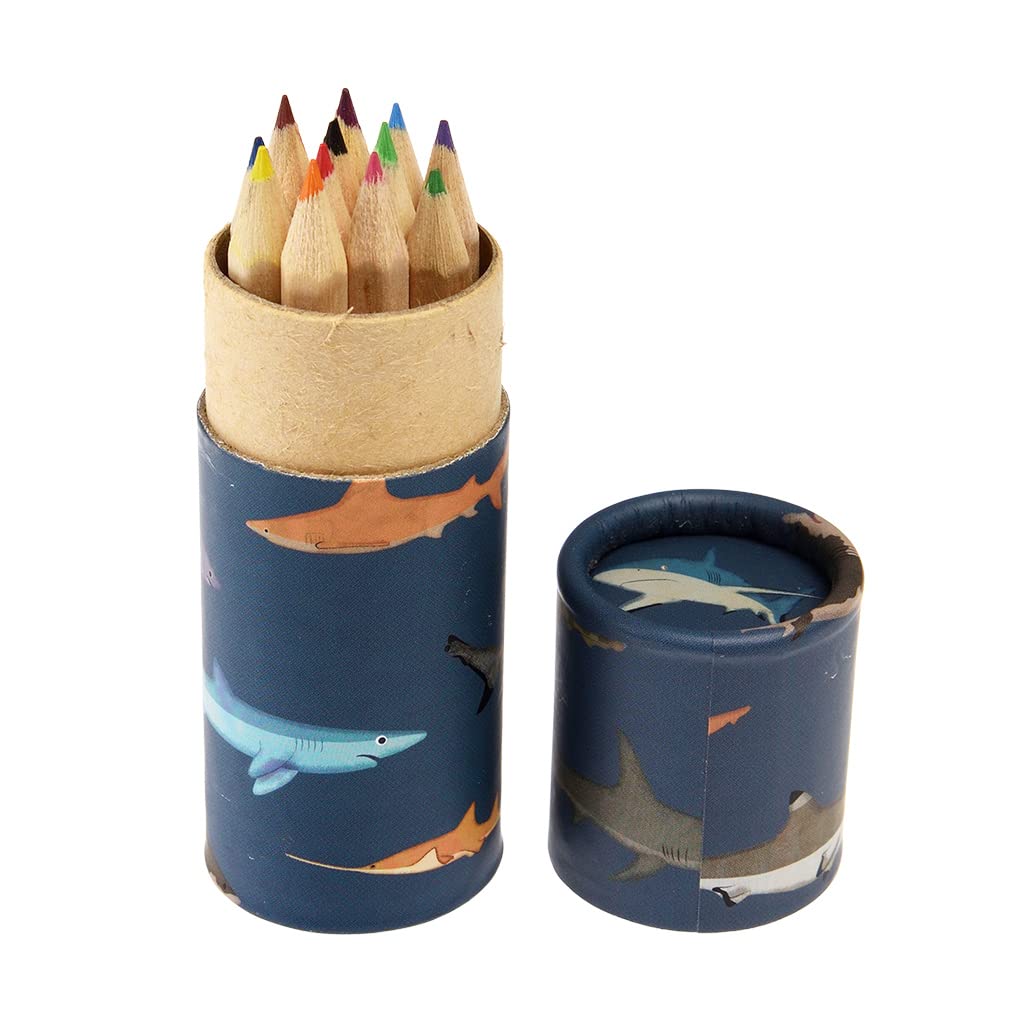 Rex London Sharks Colouring Pencils In A Tube (set Of 12) โ image 1