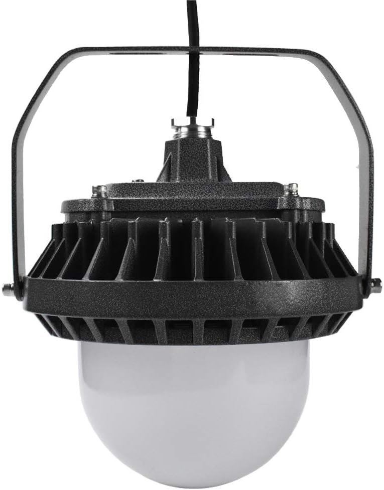 40W Industrial Factory Workshop Lighting Chandeliers Warehouse Workshop Gas Station high Bay led Lamps (40)
