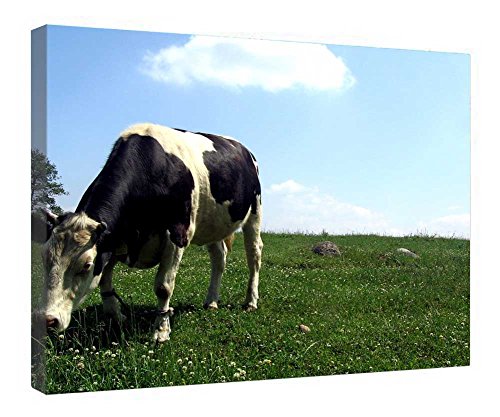 Toile vache encadrée en bois 40x50 cm tableau moderne prêt à suspendre