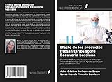  Efecto de los productos fitosanitarios sobre Beauveria bassiana: Eficiencia de Beauveria bassiana en el manejo integrado de la oruga del hilo Agrotis ipsilon, con productos fitosanitarios