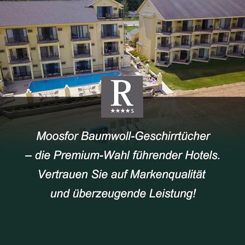 Moosfor Geschirrtücher 100% Baumwolle, 6er Set 30 x 30 cm, Weiche Geschirrhandtücher Küchenhandtücher Saugfähig Küchentücher Dicke Premium Geschirrtuch Spüllappen Putzlappen, Lila