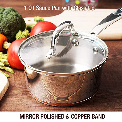HOMI CHEF Mirror Polished Copper Band Nickel Free Stainless Steel 1 QT Saucepan with Glass Lid (No Toxic Non Stick Coating, 6.5 Inch) - Small Saucepan Induction Pan with Lid - Non Toxic Cookware - Thumbnail 6