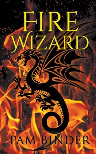 Cover of Fire Wizard