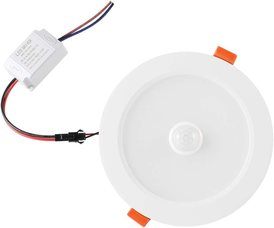 LED Flush Mount Ceiling Light Fixture, Dimmable Ceiling Light with Infrared Human Body Sensor, 12W LED Downlight with 30s Lighting Delay AC85-265V, for Closet Kitchen Stairwell Home(1 Pack)