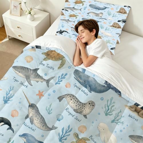 Image of Ocean Animal Comforter Set Queen Sea Creatures Bedding Set for Kids | Cute Watercolor Marine Animal Bedding Set for Boys Girls Teens, 3 Piece Kids Soft Comforter Set Bedroom Decor