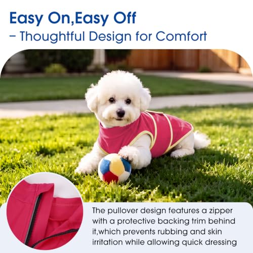 Image of Nanaki Snug Anxiety Compression Shirt for Dogs from Storms & Fireworks,S