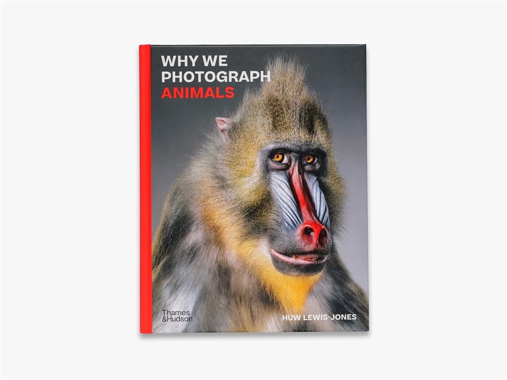 Why We Photograph Animals