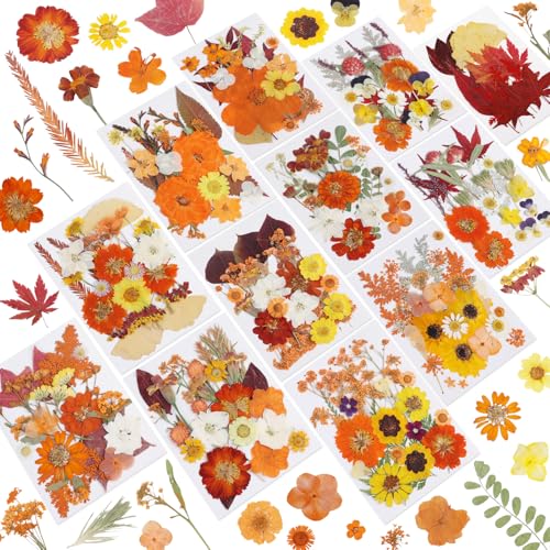 277 Pcs Flores Secas para Manualidades NESCCI miniatura 1