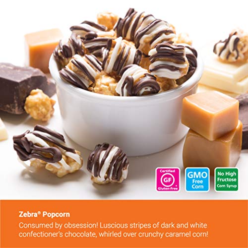 Popcornopolis Popcorn 12 Cone Snack Pack Including Zebra, Cheddar Cheese, Caramel and Kettle Corn, Metallic
