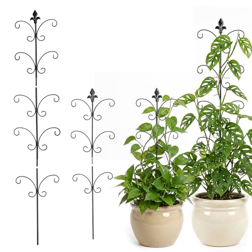 Metal Monstera Plant Support 2-Pack Adjustable Height Steel Plant Trellis for Pothos Vining & Climbing Potted Plants Indoor & Outdoor Sturdy Rotatable Plant Stakes with Rounded Ends 31 & 46