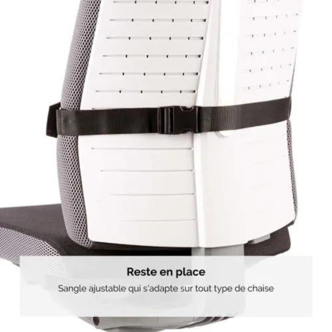 Fellowes 8026501 Support lombaire
