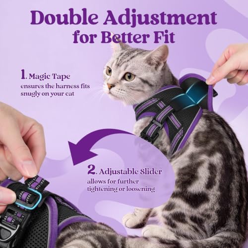 Image of rabbitgoo Cat Harness and Leash Set, Step-in Soft Vest, Black & Purple